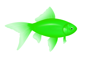 绿色鱼PNG图像-161